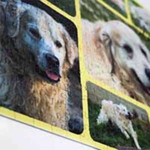 Custom Puzzle 500 pieces -  500-piece, custom, jigsaw, photo puzzle Custom Puzzle 500 pieces - NZD 49.99